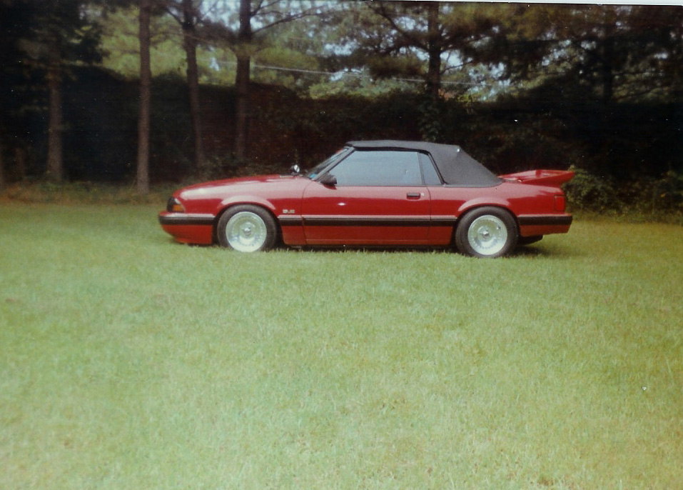 stang3.jpg